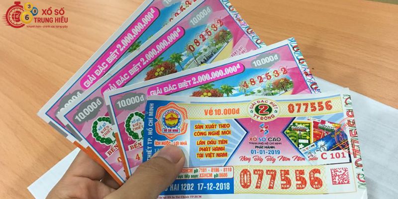 Lý do chọn Xổ Số Trung Hiếu để tra cứu kết quả xổ số Quảng Nam